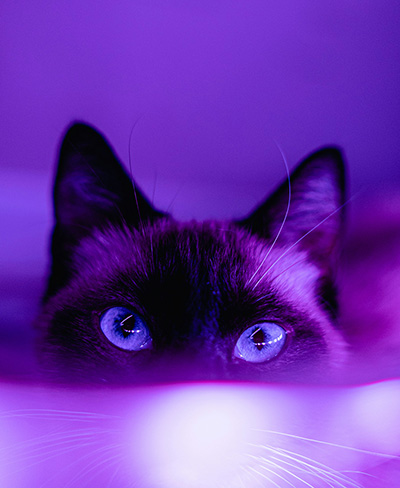 Nedeljni horoskop od 8. do 14. decembra