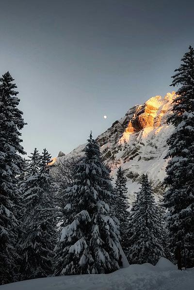 Nedelja koja donosi prve važne korake i odluke u 2026.